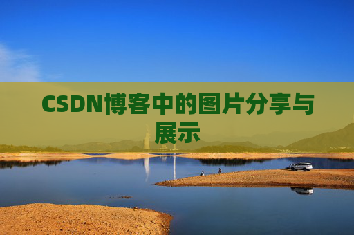 CSDN博客中的图片分享与展示